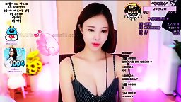 Korean Bj Porn Videos
