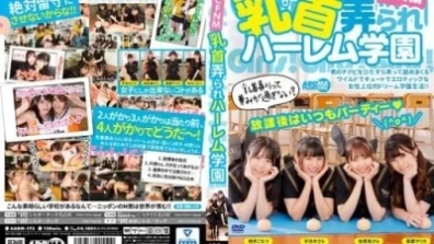 CFNM 乳頭摸索后宮學院