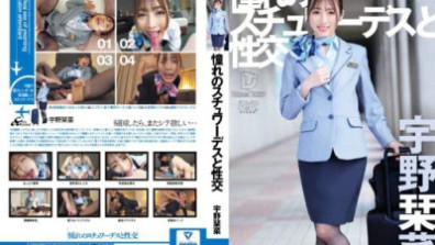 Sex With The Stewardess Of Your Dreams Kana Uno