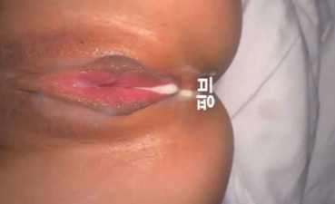 이렇게 생긴 조개 희귀템 맞나요?